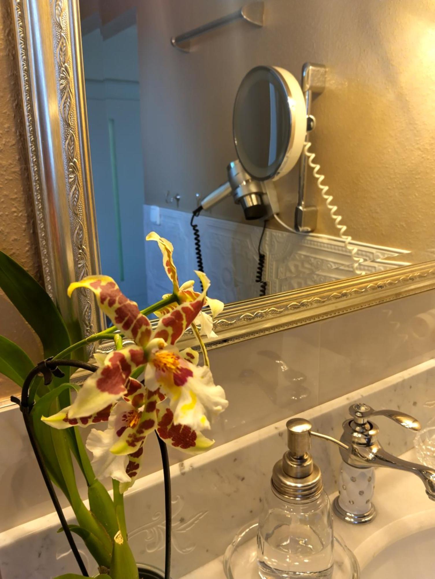 Haus "Guck - Ins - Tal" Apartment Засбахвалден Екстериор снимка
